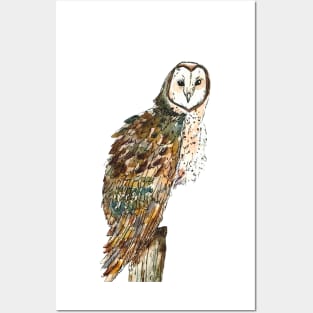 Watercolor Owl Posters and Art